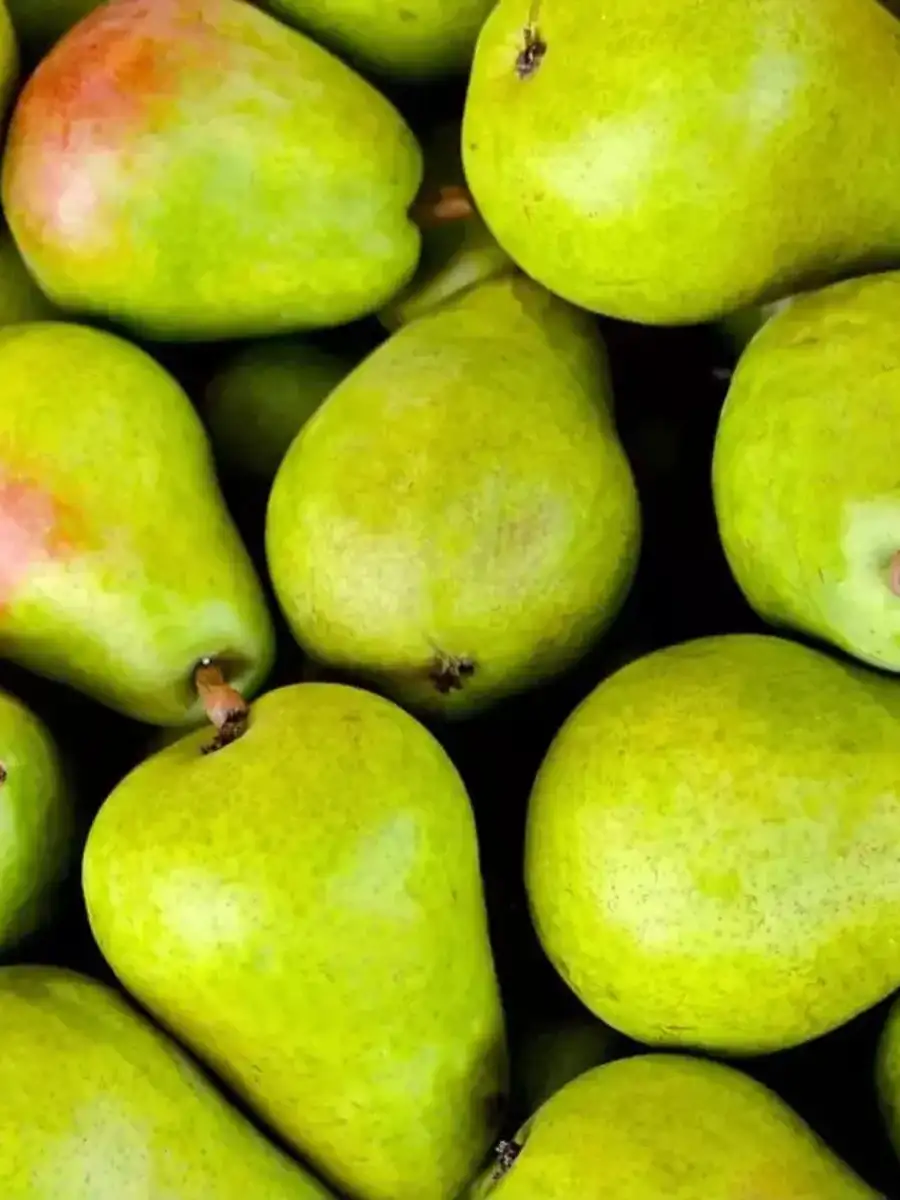 High Cholesterol Fruits to Lower Cholesterol कोलेस्ट्रॉल की दवा हैं