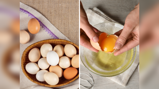 इतके दिवसानंतर विषारी बनतात अंडी, आजारपणाने येते अंथरूणाला खिळण्याची वेळ, खाण्याआधी असं तपासा अंड्याचा ताजेपणा