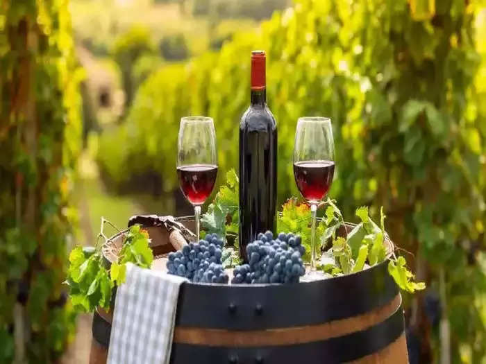 sula vineyards shares zoom 11% on q4 sales update.