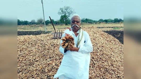 परभणीच्या हेमंतराव आडळकरांनी करुन दाखवलं, हळद शेतीत सक्सेसफुल ठरले, लाखोंची कमाई