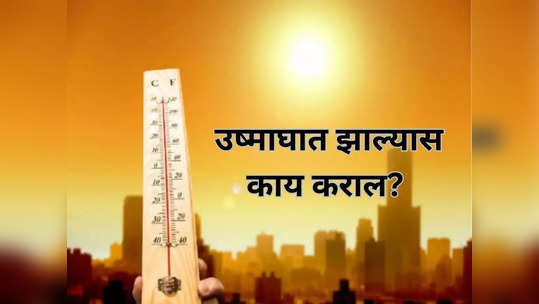 काळजी घ्या! ४० दिवसांत महाराष्ट्रात उष्माघाताचे ३५७ रुग्ण, पुढील ३ दिवस राज्यासाठी महत्त्वाचे