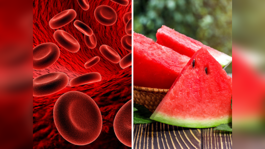 Watermelon Benefits : नसांमध्ये १००च्या स्पीडने धावेल रक्त, कलिंगड खाल्ल्याने पुरूषांमध्ये वाढते ताकद