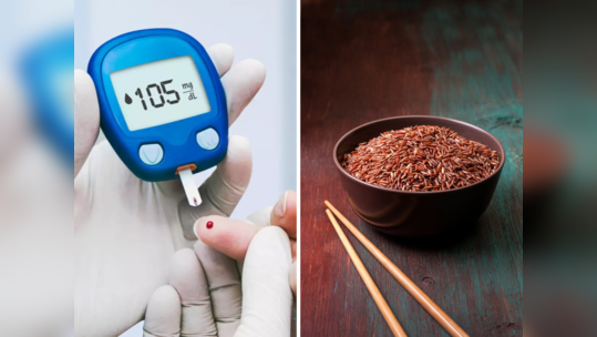 Best Food in Diabetes : डायबिटिजवर आयुर्वेदिक उपाय आहेत हे ३ अतिशय हलके पदार्थ