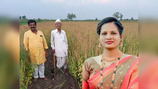 बी.एस्सी अ‍ॅग्री सूनबाईचं मार्गदर्शन,सासऱ्यांनी अनुभव पणाला लावला,चिया शेतीचा भन्नाट प्रयोग अन् लाखोंची कमाई