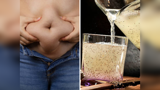 Weight Loss Drink : बेली फॅट  एका झटक्यात कमी करेल हे पेय, नारळ पाण्यासोबत या बिया वितळवून टाकतील चरबी