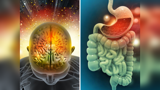 Bad Gut Health : खराब आतड्यांमुळे फक्त पोटावरच नाही तर मेंदूवरही होतो परिणाम, ही लक्षणे अतिशय घातक