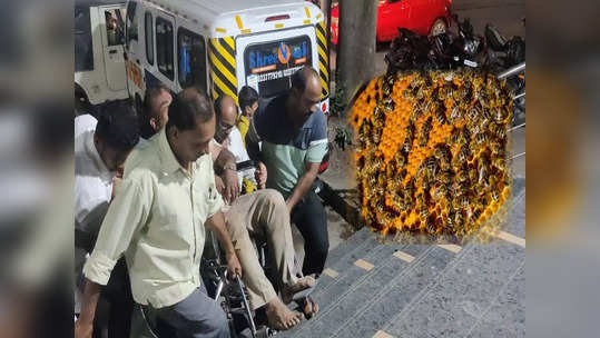 भवानीमातेच्या दर्शनाहून परतताना मधमाश्यांचा हल्ला, पुण्याच्या कुटुंबातील दहा जण गंभीर जखमी