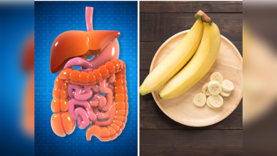 Constipation Causing Foods : आतडी पार पिळवटून टाकतात हे 10 पदार्थ, दिवसभर बाथरूममध्ये बसूनही होतच नाही पोट साफ