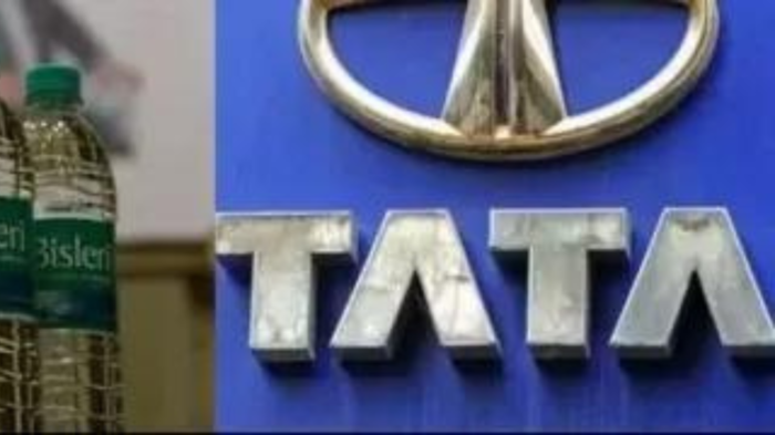 dividend stocks tata group company titan and tata chemicals