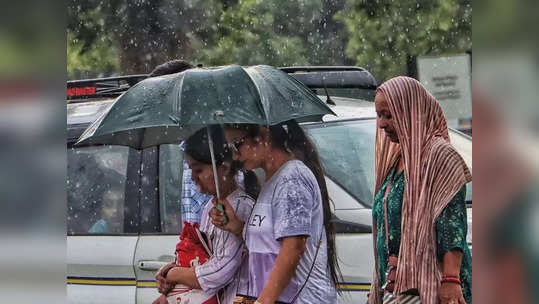 Maharashtra Weather Alert: मुसळधार पावसामुळे राज्याला येलो अलर्ट, 'या' जिल्ह्यांना हवामान खात्याचा इशारा