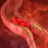 Blood Circulation: రక్తప్రసరణ సరిగ్గా జరగకపోతే.. ఈ లక్షణాలు కనిపిస్తాయి ...