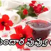 Health Benefits Of Hibiscus Tea: మందారని ఇలా తీసుకుంటే షుగర్ కంట్రోల్ ...