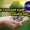 Magic Of Compounding: Investing ₹1 Lakh In These Three Mutual Funds ...