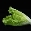 Lettuce Health Benefits: ఈ ఆకు కూర మీ ఆహారంలో తీసుకుంటే.. లెక్కలేనన్ని ...