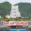 TTD Lucky Dip Online Registration for Electronic Arjitha Seva Tickets ...