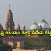 Aurangzeb Temple Demolition at Mathuras Krishna Janmabhoomi Complex ...