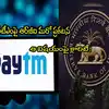RBI Paytm App Not Impacted by Regulatory Action Only PPBL Targeted ...