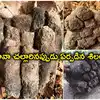Rare Miniature Columnar Basalt Rock Found in Asifabad Forest ...