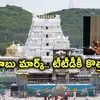 Ttd Eo Syamala Rao,తిరుమల నుంచే ప్రక్షాళన మొదలు.. టీటీడీ ఈవోగా సీనియర్ ...