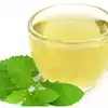 Tulasi Tea In Rainy Season,వర్షాకాలంలో తులసి టీ తాగితే కలిగే లాభాలివే ...