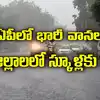 Ap Rains,Weather update: వాయుగుండంగా మారిన అల్పపీడనం.. ఏపీలో భారీ వానలు ...