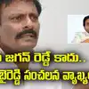 TDP Leader Byreddy Rajasekhar Reddy Comments YS Jagan on Tirupati Laddu ...