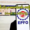 PF ఖాతాదారులకు అలర్ట్.. నవంబర్ 30 వరకే ఛాన్స్.. EPFO కొత్త రూల్ ...