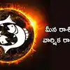 New Year,Meena Rashi Phalalu 2025 కొత్త ఏడాదిలో మీన రాశి వారికి రాహువు ...