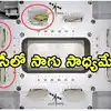 Isro Spadex,ఇస్రో ‘స్పేడెక్స్’ ఘనత.. రోదసీలో మొలకెత్తిన బొబ్బర్లు ...