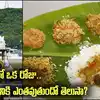 Tirumala Annaprasadam,TTD: తిరుమలలో శ్రీవారి భక్తులకు ఒకరోజు ...