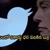 Twitter Old Logo Aucction,ట్విట్టర్ పాత లోగో వేలం.. బ్లూ పిట్ట ఎంతకు  అమ్ముడు పోయిందంటే? - twitter old logo iconic blue bird sold for 35k dollars  at auction - Samayam Telugu