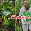 Vanajeevi Ramaiah Unique Punishment for Who Caused Accident : వనజీవి ...