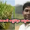 India ICAR Unveils Global First Genome Edited Rice DRR Dhan 100 and ...