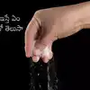 ఉప్పు చేతికి ఎందుకు ఇవ్వకూడదు,ఉప్పు చేతికి ఇవ్వకూడదు అని పెద్దలు ...