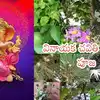 వినాయక చవితి 21 పత్రి పూజ,వినాయక చవితి 21 పత్రి పూజ విధానం - ganesh ...