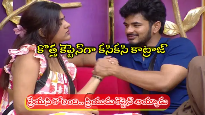 Bigg Boss 9 Telugu Captain Bigg Boss 9 Telugu Captain