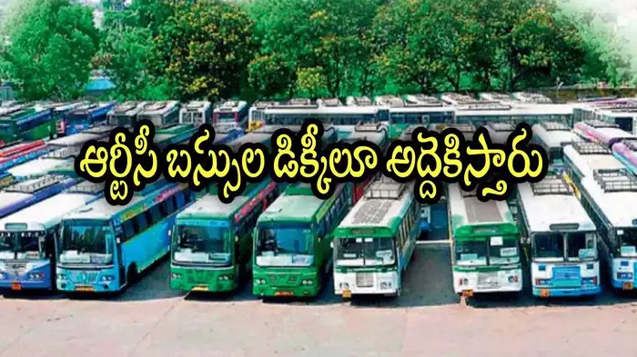 Apsrtc Buses Trunks Apsrtc Buses Trunks