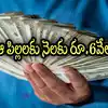 ఏపీలో వారందరికి ఉచితంగా నెలకు రూ.6 వేలు ఇస్తారు.. వెంటనే దరఖాస్తు చేస్కోండి