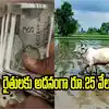 ఒక్కో రైతుకు అదనంగా రూ.25 వేలు.. దిగుబడి 25 లక్షల క్వింటాళ్లు..!