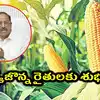 మొక్కజొన్న రైతులకు గుడ్ న్యూస్.. మద్దతు ధరకే పంట సేకరణ..