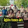 పత్తి పంట, కంది పంట మధ్యలో గంజాయి మొక్కలు.. సీక్రెట్‌గా పండిస్తున్న వారిని పోలీసులు ఎలా పట్టుకున్నారంటే..