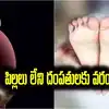 పెళ్లయి ఏళ్లు గడిచినా పిల్లలు పుట్టలేదా..? ఆ దంపతులకు ఇదొక వరం.. రూపాయి ఖర్చు లేకుండా..