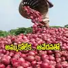 ధర లేక కన్నీరు తెప్పిస్తున్న ఉల్లి.. ఫ్రీగా తీసుకెళ్లండంటూ పంటను పొలంలోనే వదిలేసిన రైతు!