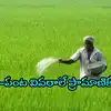 ఏపీ రైతులకు కొత్త రూల్ తెలుసా.. ఇలా చేయాల్సిందే, లేదంటే యూరియా ఇవ్వరు