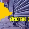 తెలంగాణ బంద్.. రోడ్డెక్కని బస్సులు, వీటికి మినహాయింపు