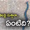 పొలం పనులకు వెళ్తున్న రైతులకు షాక్.. ఎదురుగా వింతగా.. ఏంటది?