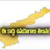 MCP Card: ఈ కార్డు ఉపయోగాలు తెలుసా.. తప్పనిసరిగా తీసుకోవాలంటున్న అధికారులు