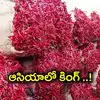 గుంటూరు మిర్చి ఘాటుకు చైనా ఫిదా.. 10 వేల కోట్ల బిజినెస్‌తో ఆసియాలోనే టాప్