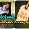 11 Tax Free Countries,Zero Tax: ఈ దేశాల్లో నో టాక్స్.. మీ సంపాదన మీదే ...