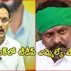 ‘ఎన్నికల్లో టిక్కెట్ కోసం ఎంపీ కేశినేని రూ.5 కోట్లు అడిగారు’ టీడీపీ ఎమ్మెల్యే సంచలన వ్యాఖ్యలు
